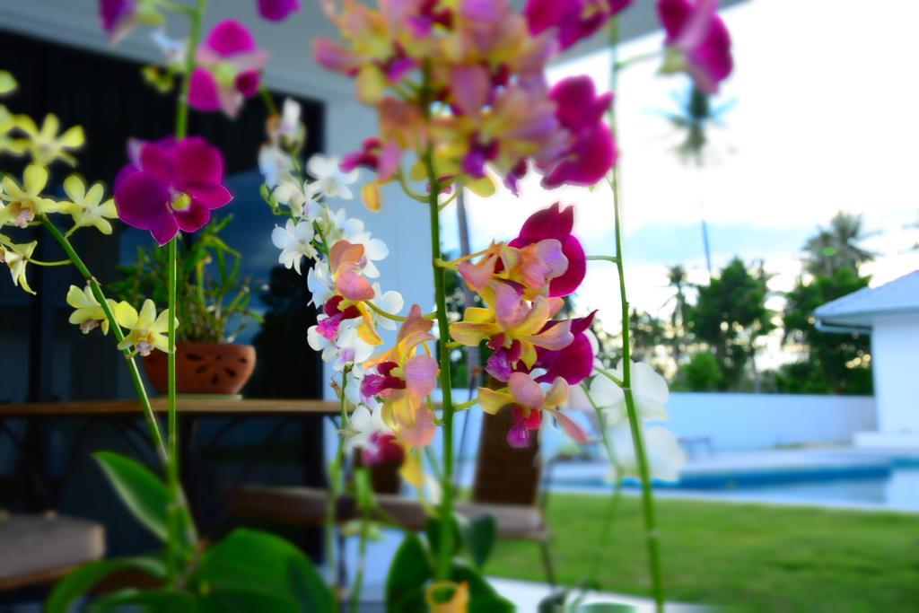 Mango Beach Resort Thailand Ban Huai Yang Ngoại thất bức ảnh